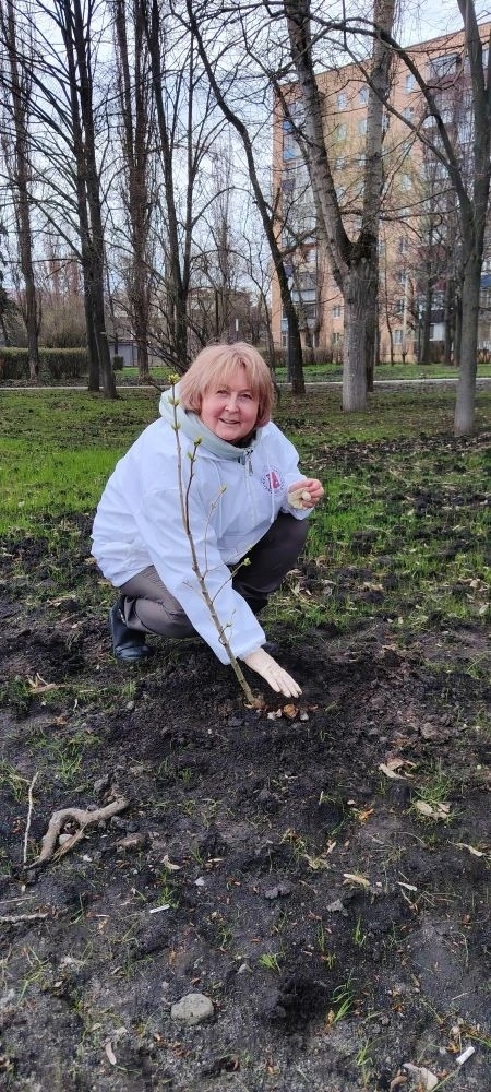 одна сирень