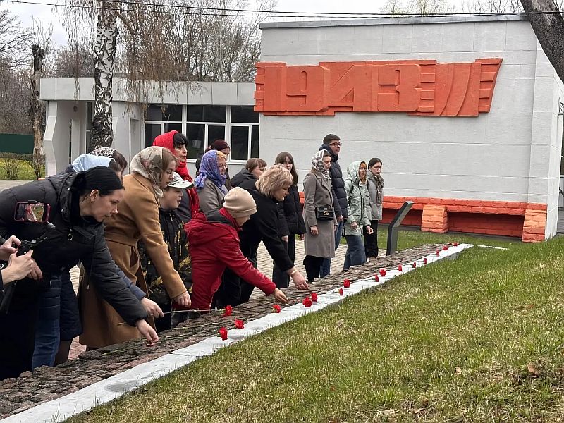 озложение массоое к стелле